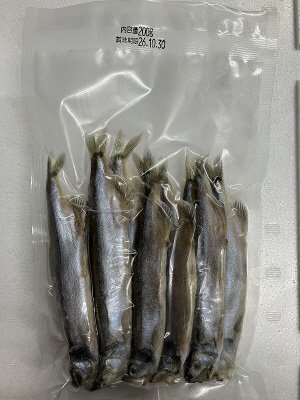 カラフトししゃも（オス）