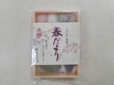 美濃路　春だより