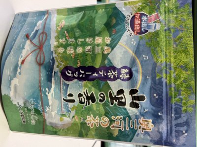 奥三河の茶・山里の香り・緑茶ティーバッグ