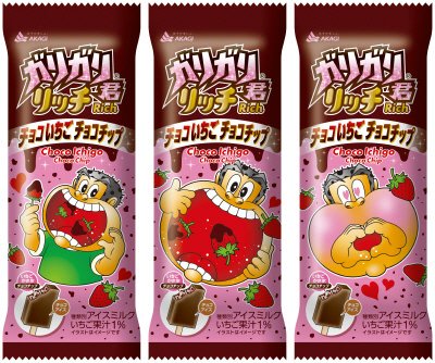 ガリガリ君リッチチョコいちごチョコチップ