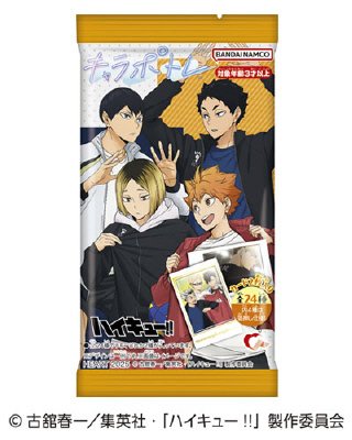 キャラポトレハイキュー！！