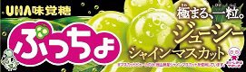 ぷっちょスティック　ジューシーシャインマスカット