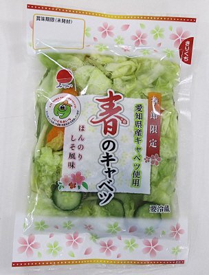 春のキャベツ