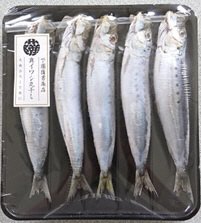 真いわし丸干し　５尾