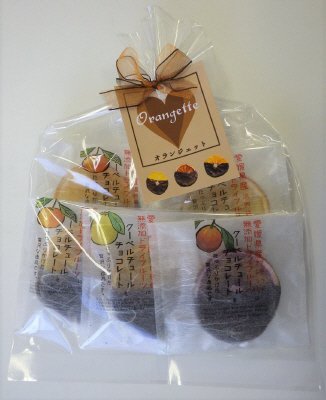 シトラスチップス　チョコがけ（ＣＤ）