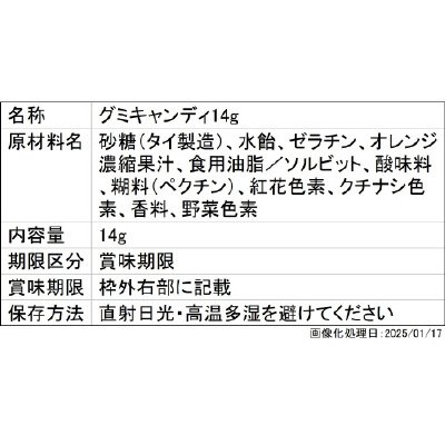 【同ＪＡＮ】魚ギョッと釣りグミ（２０２５年３月リニューアル）