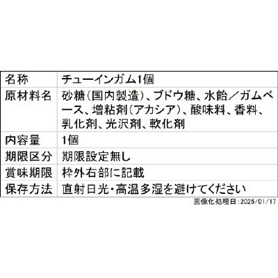 ＭＯＢＩＬＩＴＹ　ＪＯＩＮＴ　ＧＵＮＤＡＭ　ＶＯＬ．９