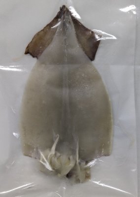 一夜干いか（昆布だし醤油干し）