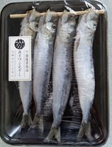真いわし丸干し　４尾