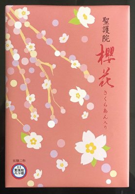 聖　櫻花