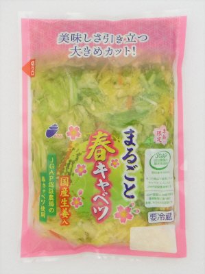 まるごと春キャベツ