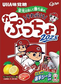 それ行けカーぷっちょ２０２５