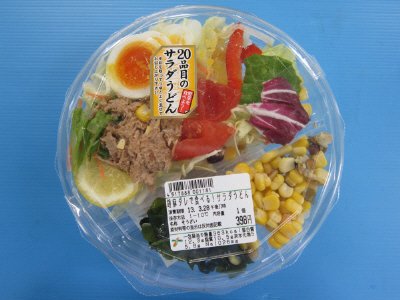 胡麻ダレで食べる！２０品目のサラダうどん