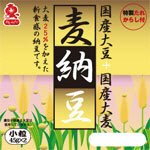 麦納豆ミニ2