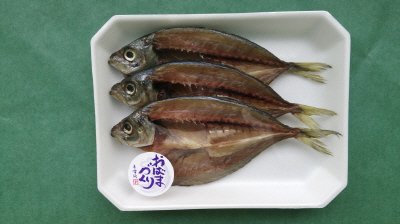 おばまづくり　あじ開き