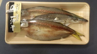 若狭の一汐干　かます