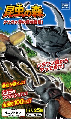 昆虫の森　クワガタ界の怪物登場