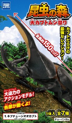 昆虫の森　大カブトムシ祭り