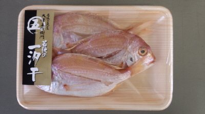 若狭の一汐干　れんこだい