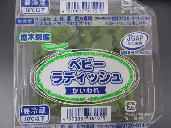 ベビーラディッシュ