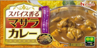 スパイス香るマサラカレー