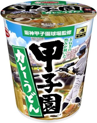 阪神甲子園球場監修　甲子園カレーうどん