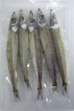 高知 幸成丸にぎす丸干し(大）