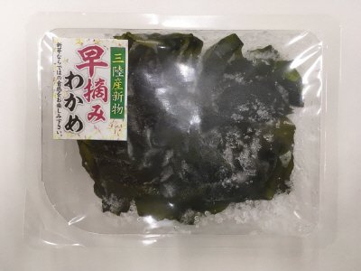 三陸産早摘みわかめ(カット済み)