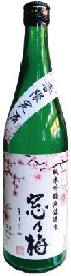 窓乃梅　春限定　純米吟醸　無濾過生