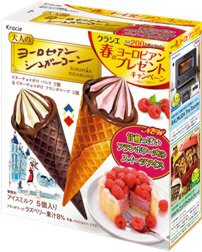 大人のヨーロピアンシュガーコーン(バニラ＆フランボワーズ)