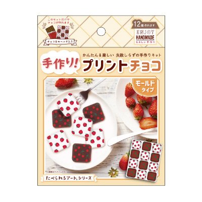 プリントチョコモールドセット　FRUITS