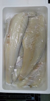 GEMSCロシア産塩たらフィレー