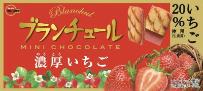 ブランチュールミニチョコレート濃厚いちご