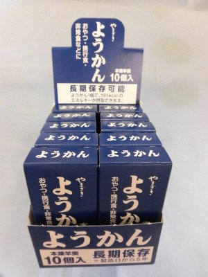 長期保存ようかんＤＰ（１０）