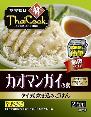 カオマンガイの素